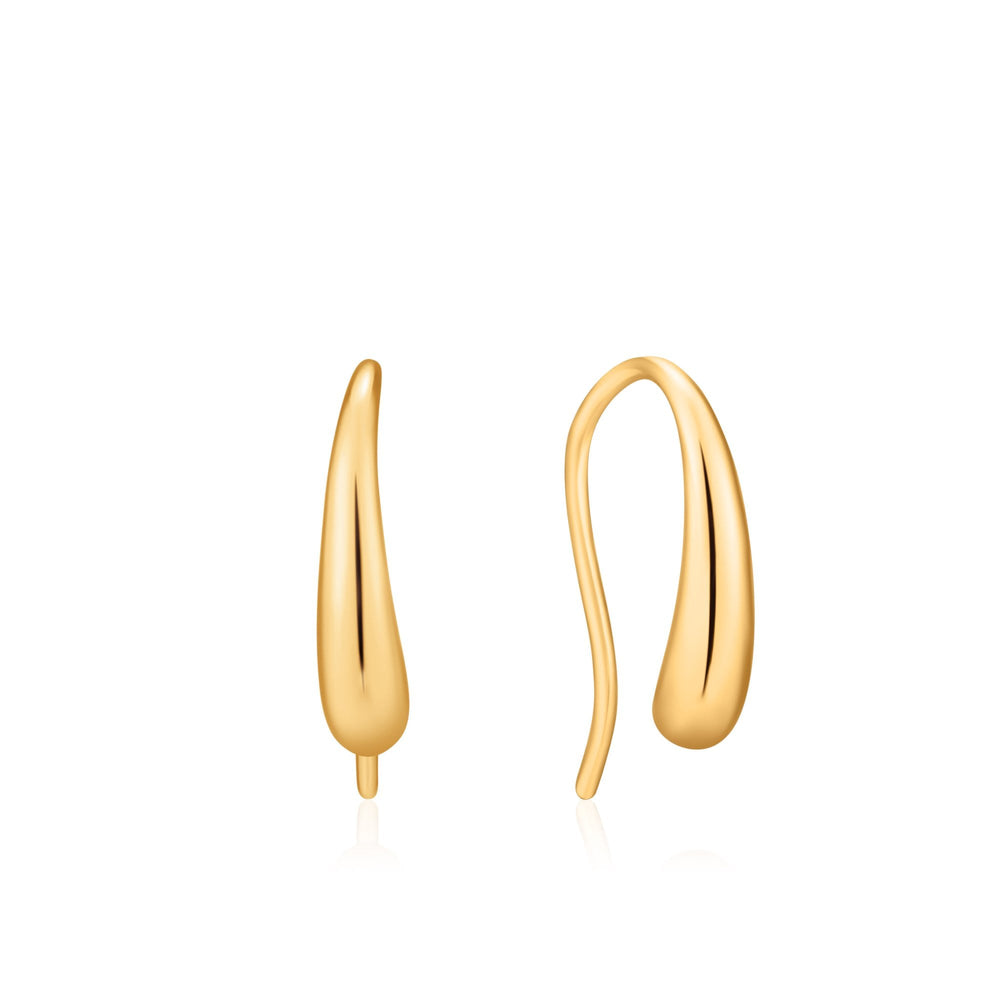 
                
                    Load image into Gallery viewer, Gold Luxe Lobe Hook Earrings
                
            
