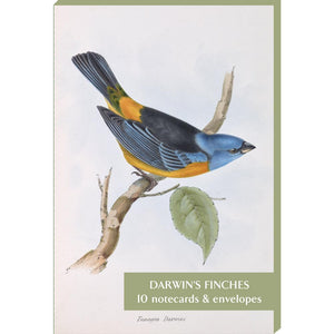 Darwin's Finches Notecard Pack