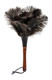 Small Ostrich Feather Duster