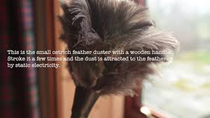 Small Ostrich Feather Duster