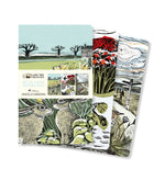 Angela Harding Mini Notebook Collection - Set of 3