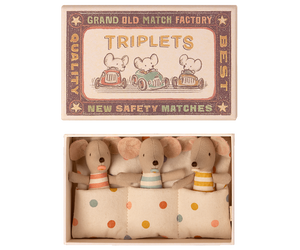 Triplets - Baby Mice in a Matchbox